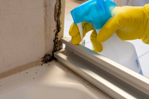 Best Toxic Mold Removal  in Tallapoosa, GA