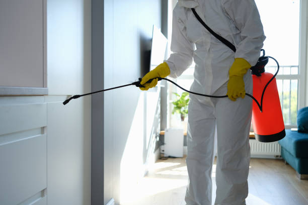 Best Certified Mold Removal  in Tallapoosa, GA
