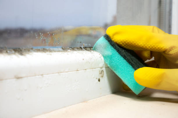 Best Emergency Mold Removal  in Tallapoosa, GA