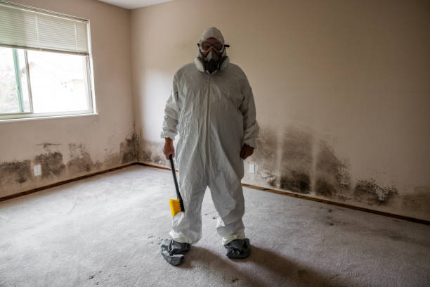 Best Mold Damage Repair  in Tallapoosa, GA